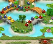Birds Zuma